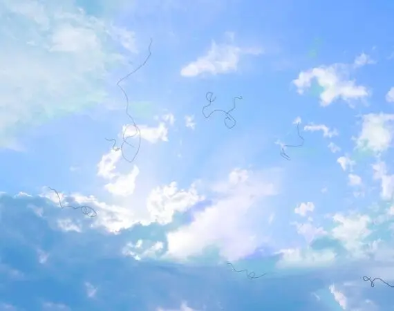 blog-image-floaters-5