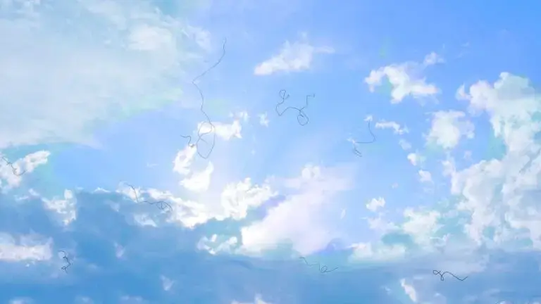 blog-image-floaters-5